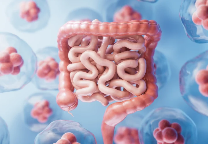 intestinal-tract-with-digestive-health-concept-3d-rendering